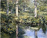 Theodore Robinson Famous Paintings - The Duck Pond